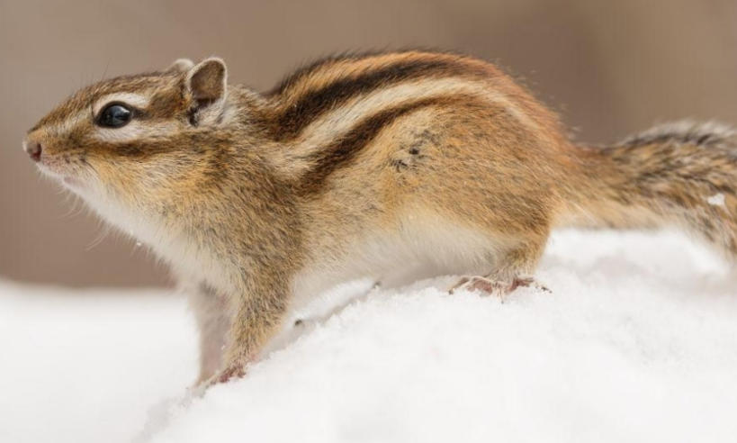 南山防盗门有限公司轮播图2